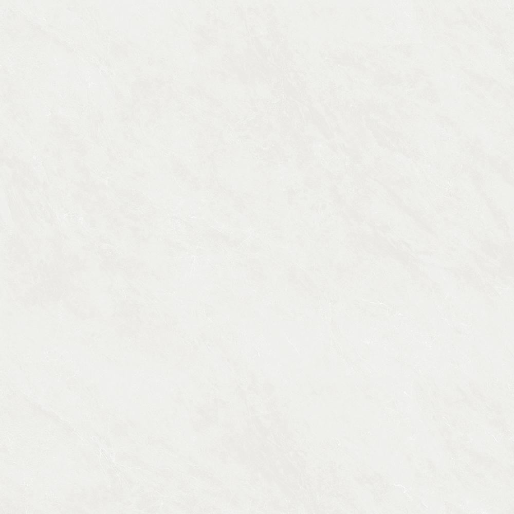 蕾西亚