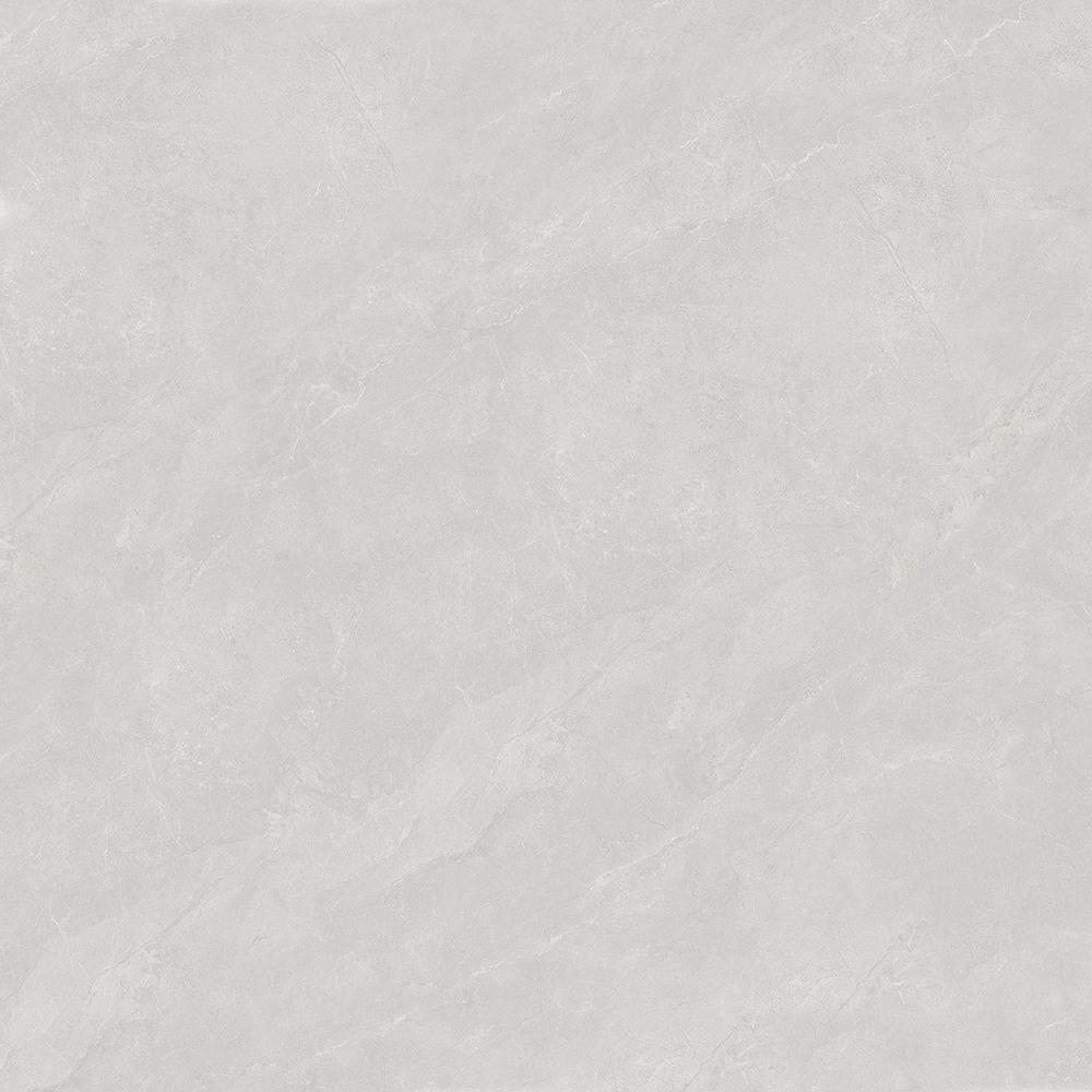 QPL-8256